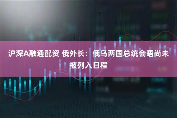 滬深A融通配資 俄外長：俄烏兩國總統會晤尚未被列入日程