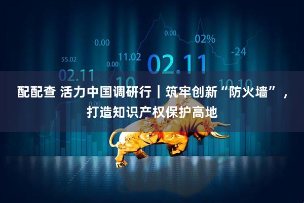 配配查 活力中國調研行｜筑牢創(chuàng)新“防火墻” ，打造知識產(chǎn)權保護高地